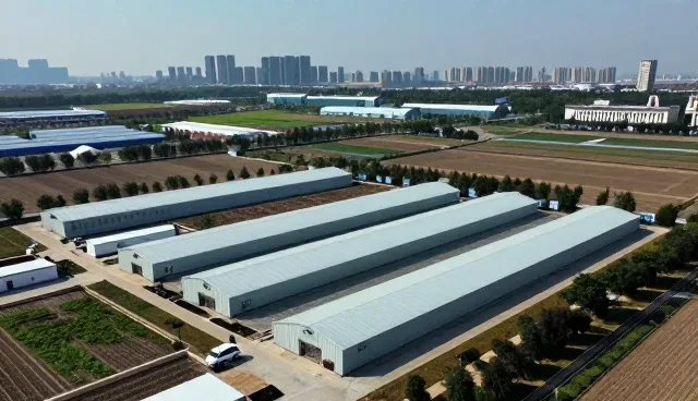 流程优化中风险控制的关键实践与应对策略